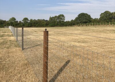 Filed fence